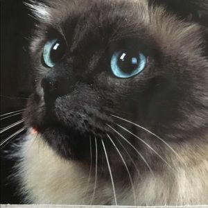 🚫FOR TRADE ONLY🚫